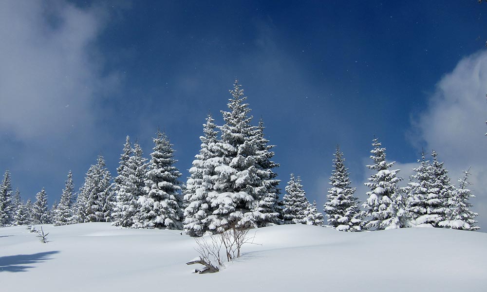 Kuhschneeberg